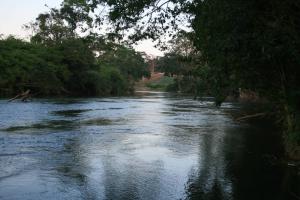 Picture17.jpg